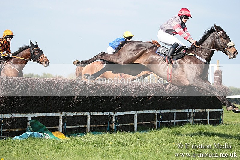 PtP 210418 535 - South & West Wilts Point-to-Point Larkhill 21/04/18