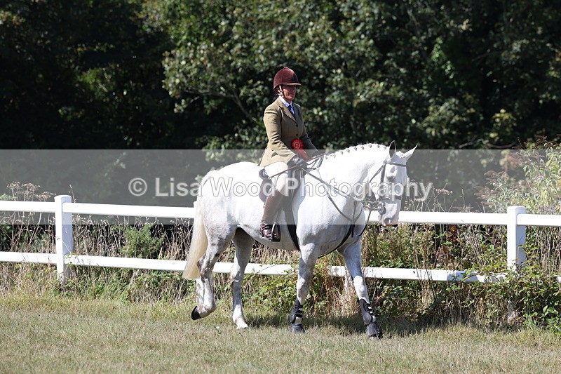 3E7A6332 - Working Hunter Championship