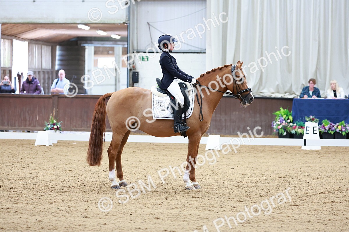 SBM_017090 - Class15 - FEI Pony