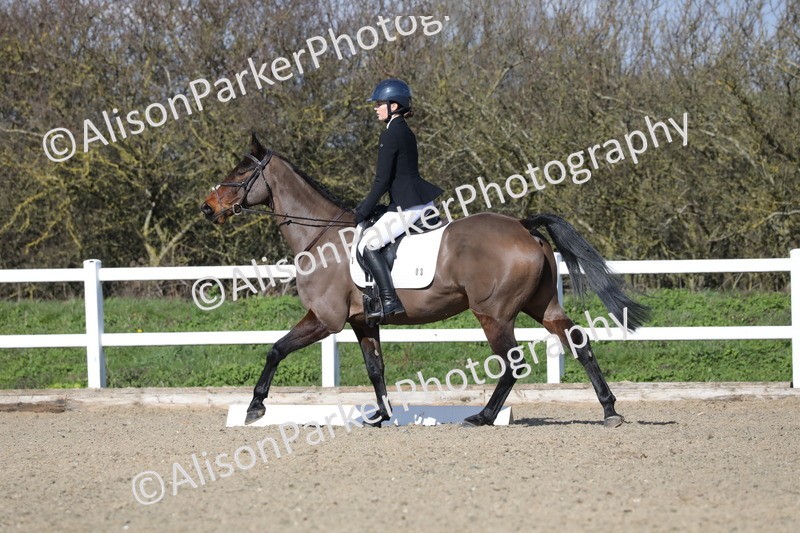 20260314-4774 - CT3 - Prelim 2