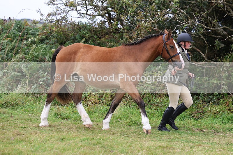 3E7A4093 - Class 15: Two Year Olds