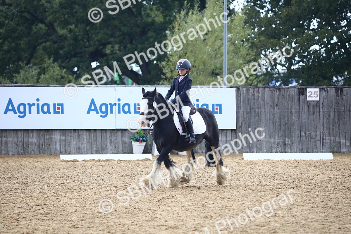SBM_42600 - D21 - Junior Championship Intro 1