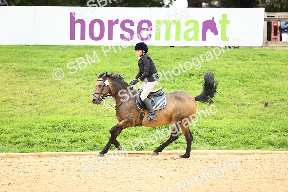 SBM_68748 - J18 - Junior Pony 85cm championship