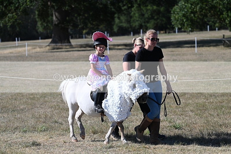 WJ7_2508 - Class 45 Fancy Dress (My Fav)