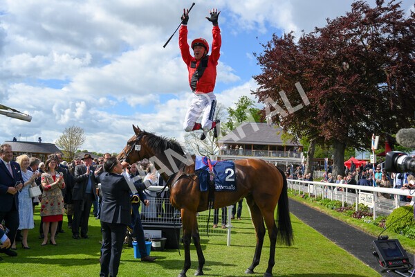 yr11052022r4-43 - Race 4 3.35pm Tattersalls Musidora Stakes