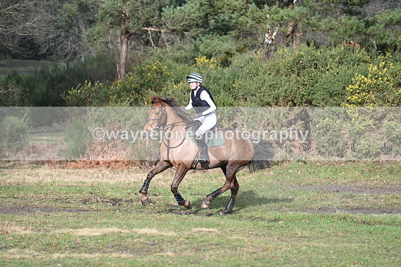 WJ7_6579 - Time 11:11 to 11:38