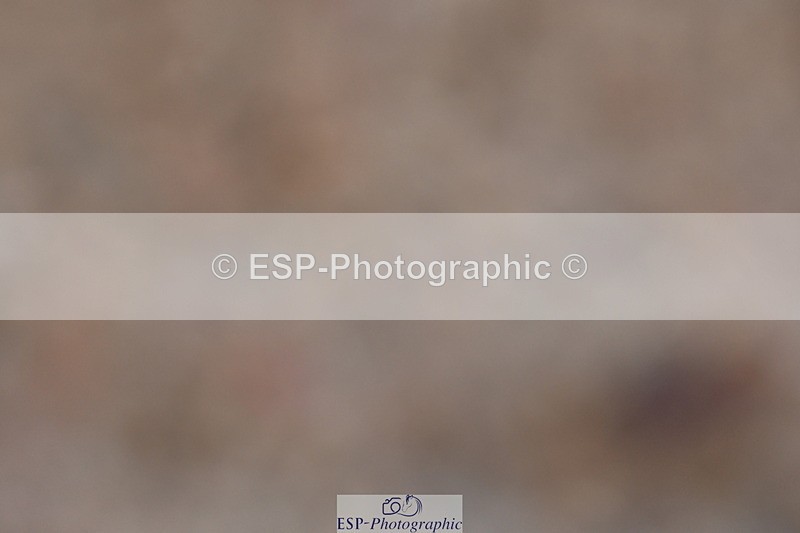 231104A-142346-00798 - Cls 18 FEI PSG