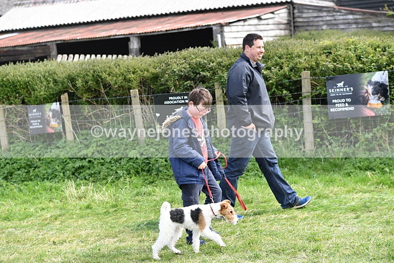 WJ5_0710 - Best in Show Championship