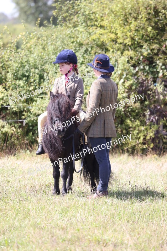 20260906-2796 - Class 25 - Absolute Beginners Pony