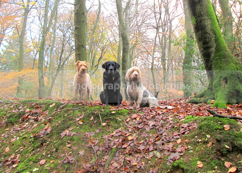  - Group Shots