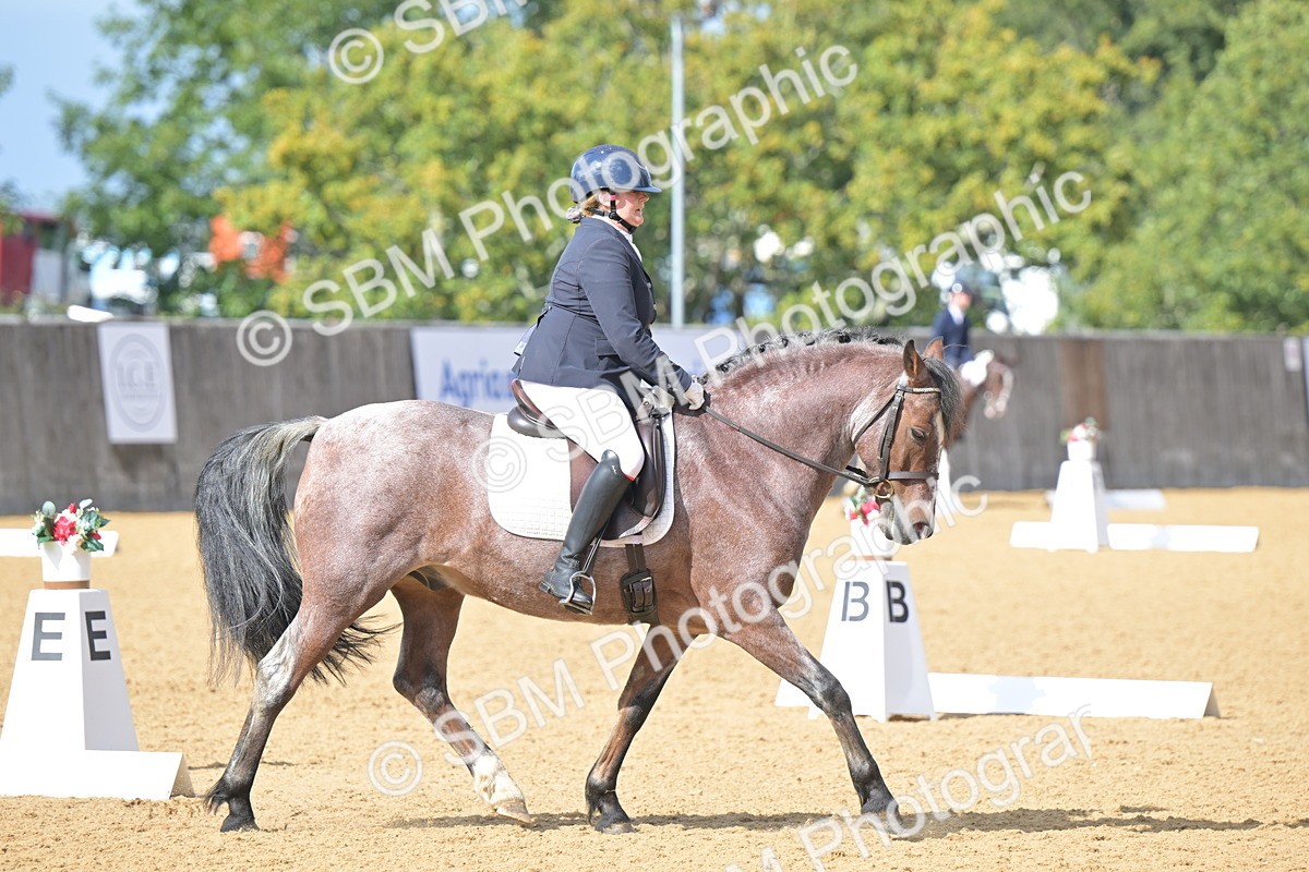SBM_08672 - D8 - Small Tour Championship Prelim 1