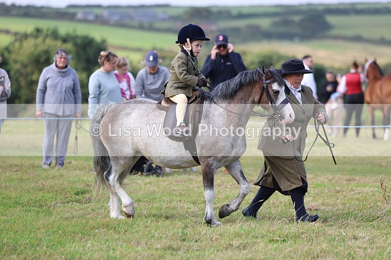 3E7A3376 - Class 2: Lead rein