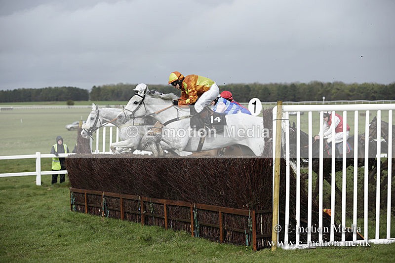 PtP 150320 0385 - New Forest Point-to-Point Larkhill 15/03/20