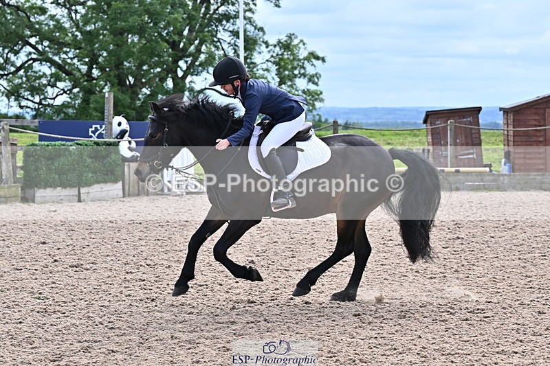 250610A-171030-00370 - 80cm