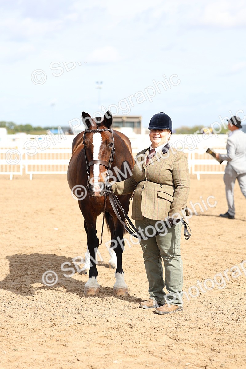 SBM_02381 - Class 19 - Horse or Pony Judge would most like to take home