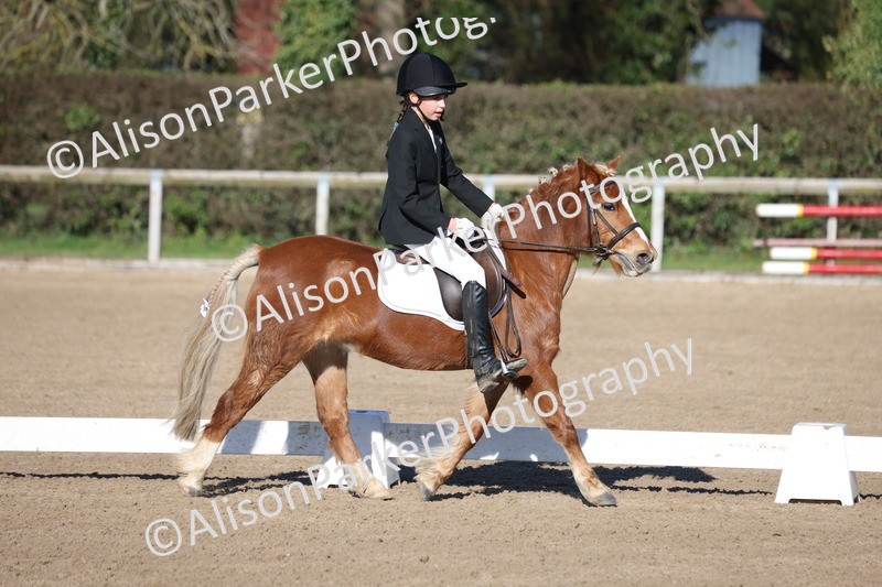 20260214-0277 - Class 3 - Prelim 2