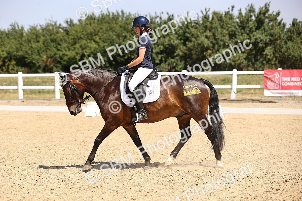 SBM_003925 - Intro 2