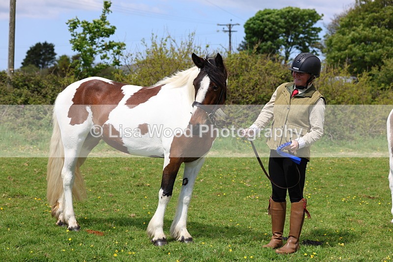 3E7A0423 - Class 19: Best Coloured in Hand