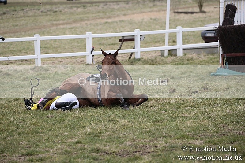 PtP 180218 295 - Combined Services Point-to-Point Larkhill 18/02/18