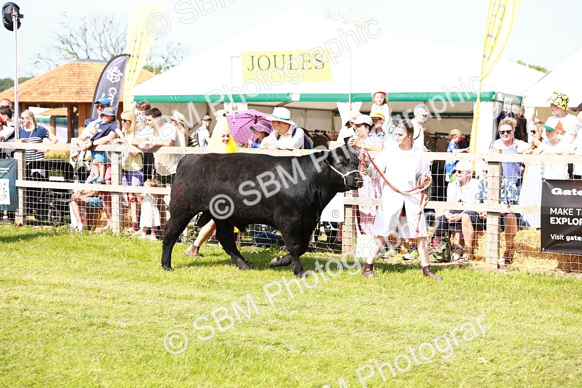 SBM_08351 - Grand Parade