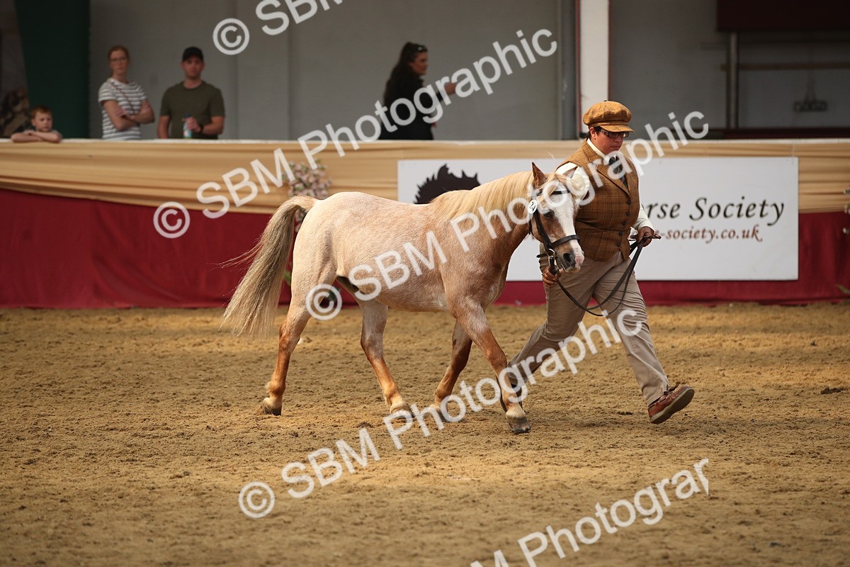 SBM_05387 - Class 8R - Regional IH Veteran