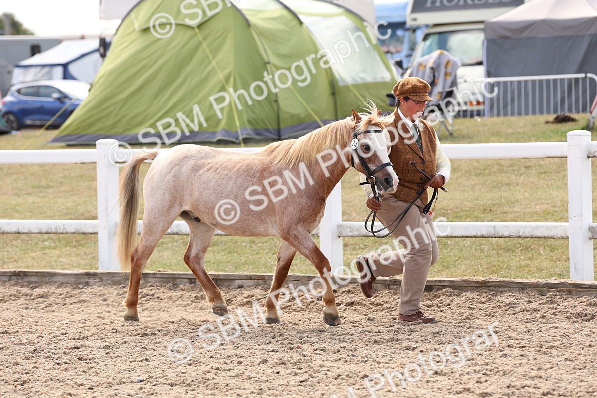 SBM_15056 - Class 209 - IH Veteran Pony