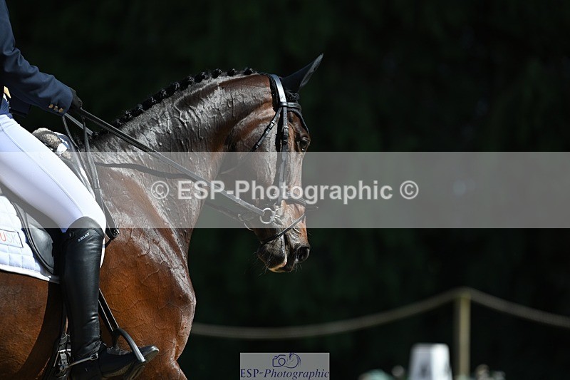 230526-161001-07286 - 254-PURE_TRENDSETTER-Ellie_Fredericks-WEDTrotUp+DR