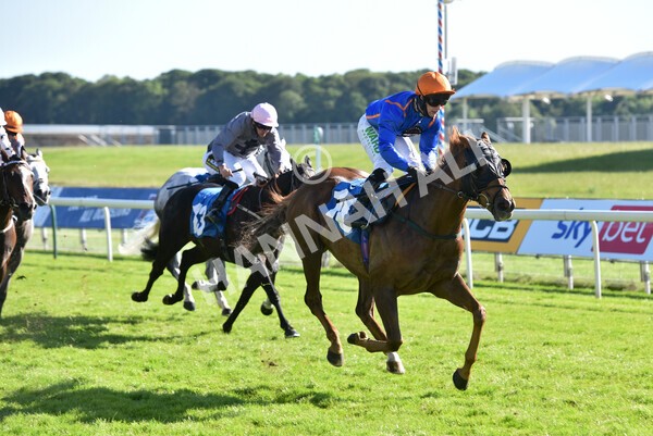 yr12062021r7-22 - Race 7 5.25pm Sky Bet Stakes