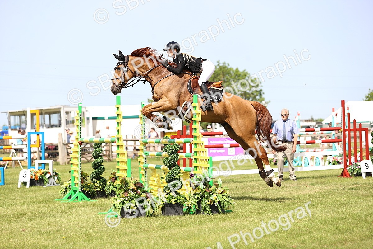 SBM_03102 - Class 201 - British Horse Feedds Speedi Beet HOYS Grade C