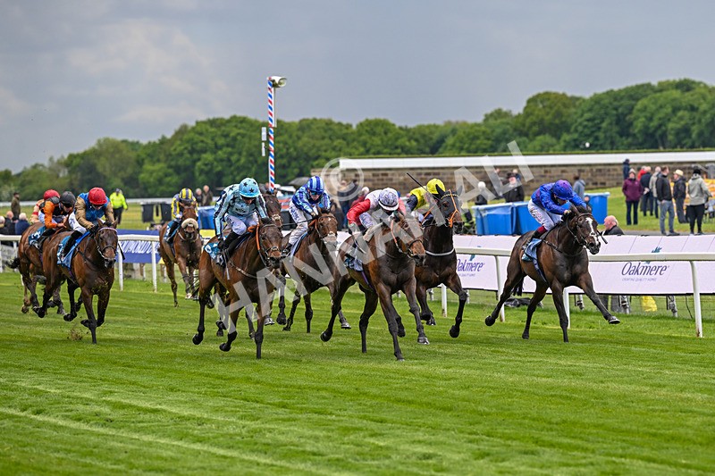 140526-Race 3-Maybe Not-4880 - Race 3 2.55pm Oakmere Homes Hambleton Handicap