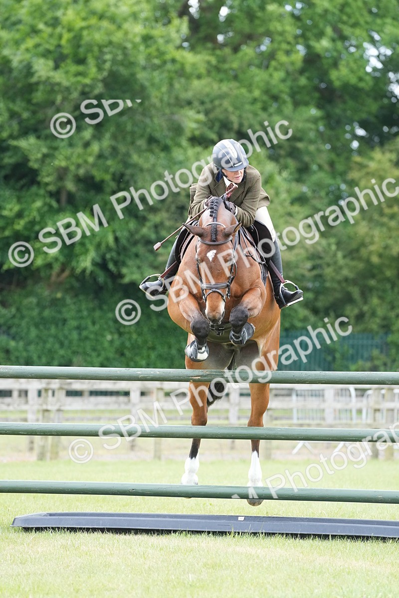 SBM_14973 - Class 100-102 - RIHS Working Hunter