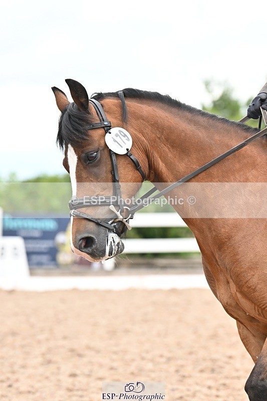 250705-175538-04480 - N2 Section BDNOV2 16.29 to 17.46