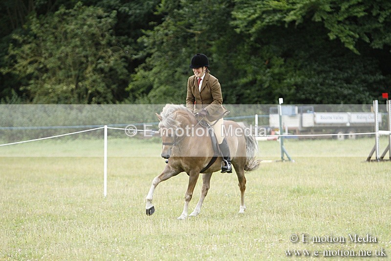 BVR160717-141 - Ring 3 BVRC Show 16/07/17