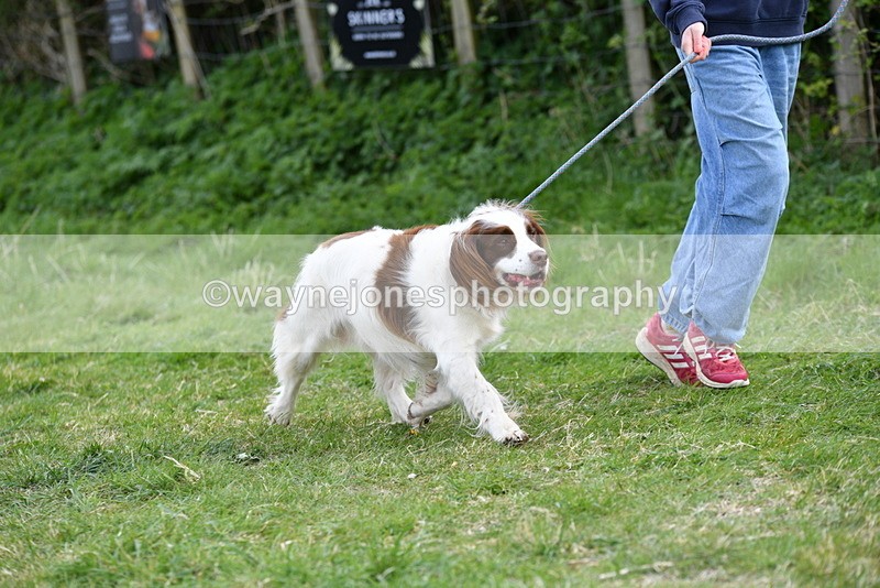 WJ5_0127 - Class 5 Best Veteran / 7 years & over