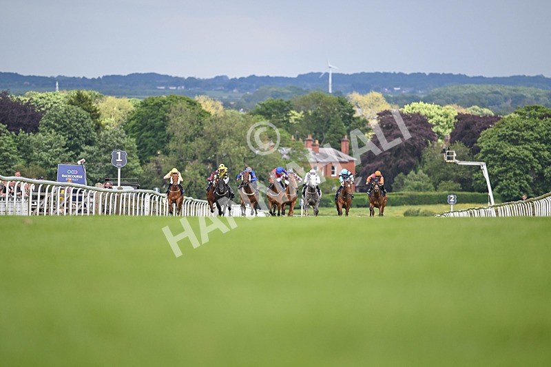 290524-Race 6-Spring Chorus-6736 - Race 6