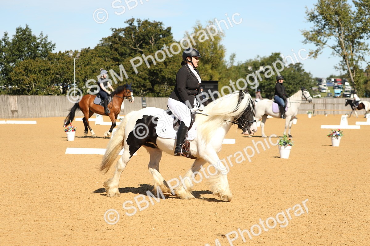 SBM_19632 - D10 - Small Tour Championship - Prelim 2