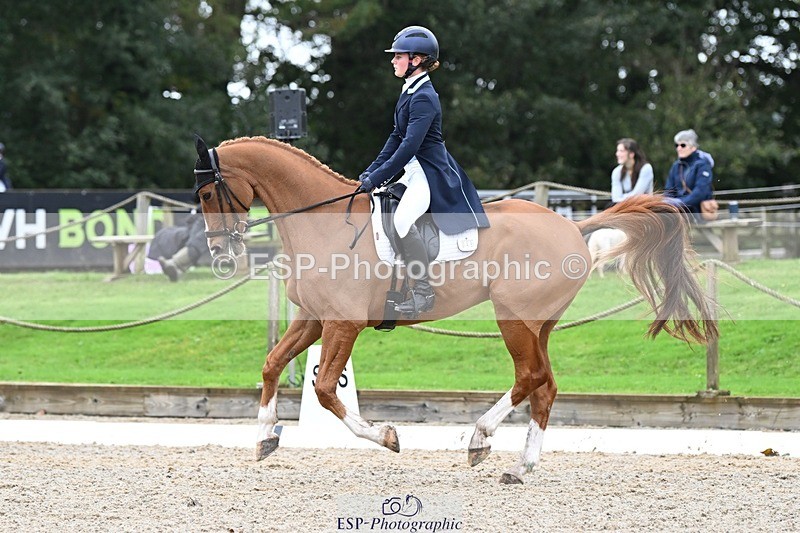 231019-130338-02920 - 049-AUGUSTUS.IMPERIOUS-Ines.Mitchell-DR