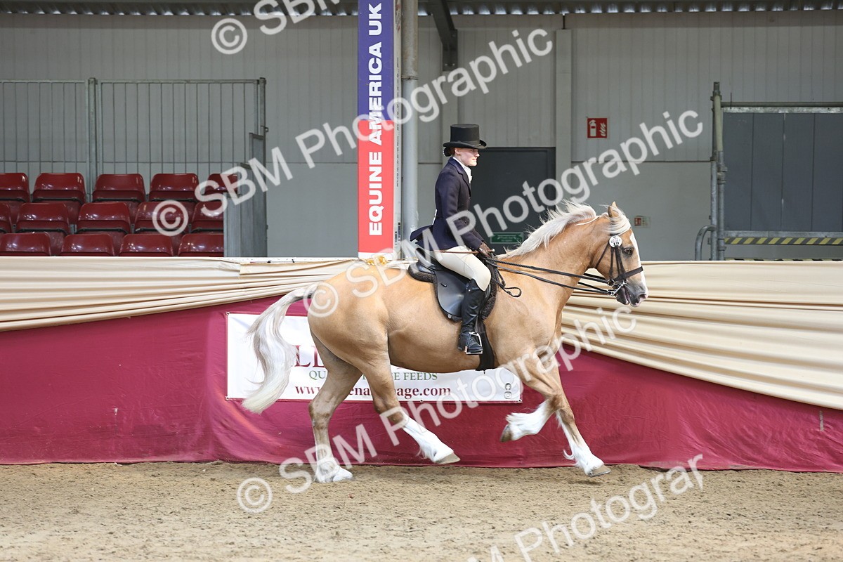 SBM_23748 - class 906 - Supreme Final - Ridden Pre Vet