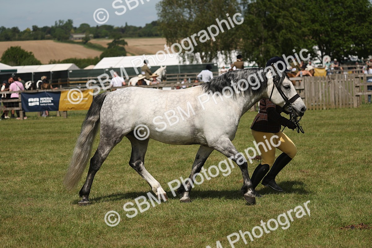 SBM_07634 - Class 26-30 - Mountain and Moorland Ridden