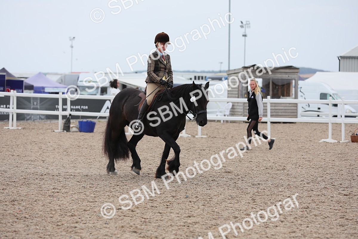 SBM_18082 - Class 316 Best Pony/Rider Combination