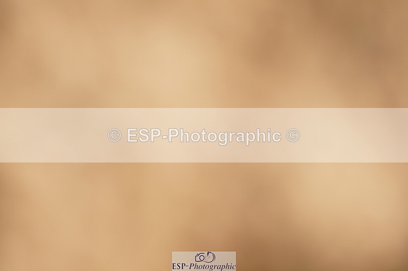 240317A-120112-05819 - Cls 26 National 1.30m Open