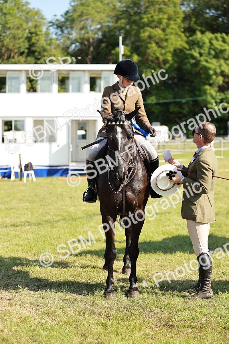 SBM_19318 - Class 115-116 - LIHS BSHA Rising Star Working Hunter & Show Horse