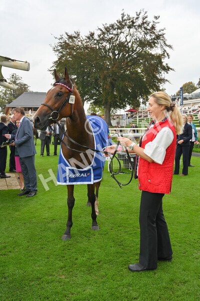 yr09102021r2-37 - Race 2 2.02pm Coral Beaten-By-A-Length Free Bet Rockingham Stakes