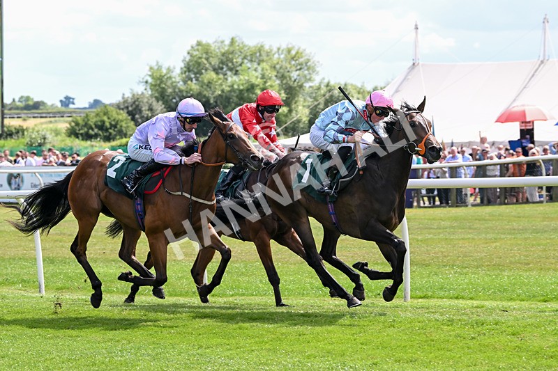 160725-Race 2-Shetakesthegold-8848 - Race 2