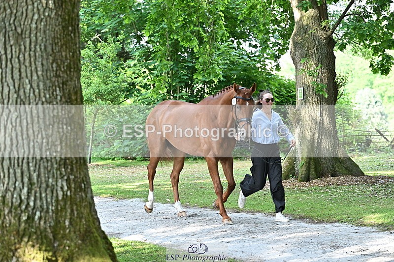 250521A-164728-01330 - C-259-Jasmine.Holmes-MSH.BONANZA