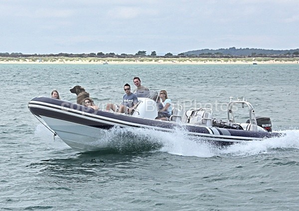 090823 COBRA RIB IMG_1841 - RIBs, Tenders, Dories, Dinghies