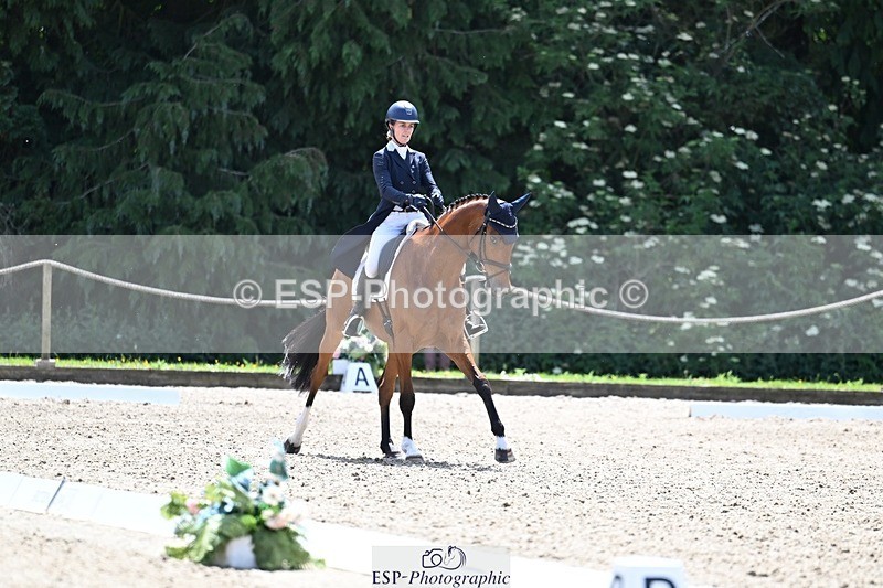 260529A-135507-10560 - G-778-Ginny.Thomasen