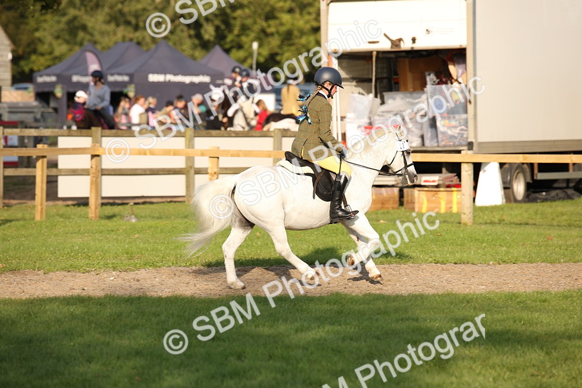 SBM_54343 - S27 - Mature Veteran - Ridden