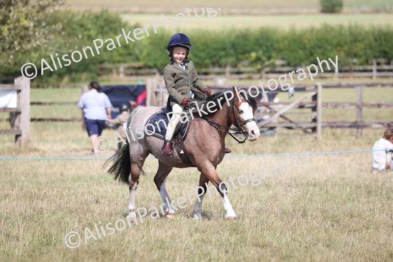 20260906-3054 - Class 18 - Childs First Pony