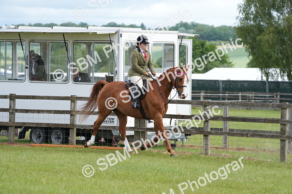 SBM_12916 - Class 99 - RIHS SEIB Working Show Horse